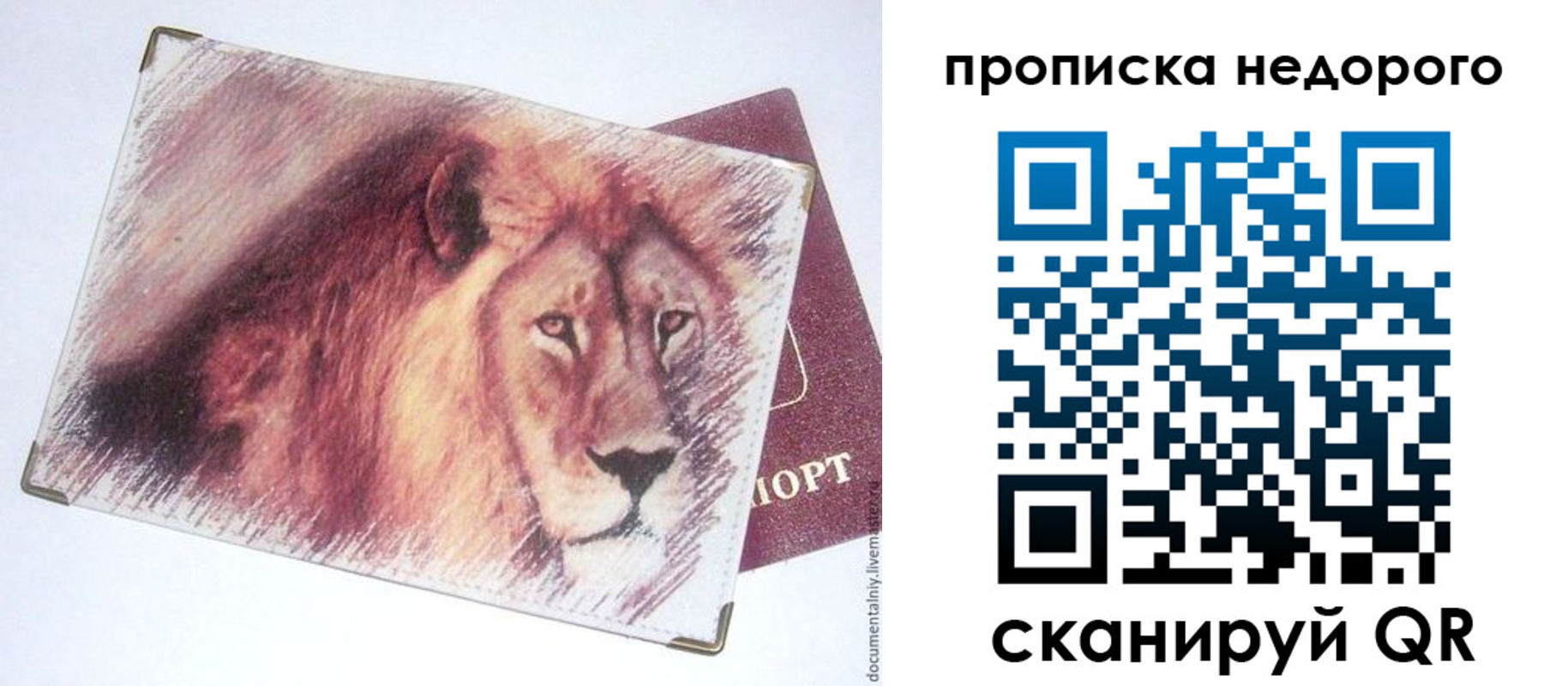 прописка регистрация в Великих Луках
